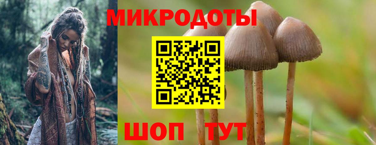Томск  Псилоцибиновые грибы MAGIC MUSHROOMS  Вход с VPN 
